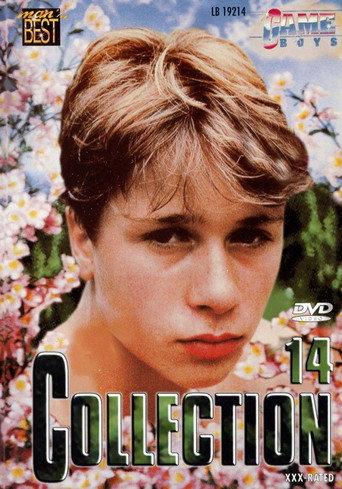 Game Boys Collection 14 movie poster