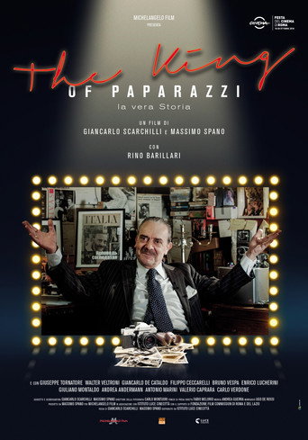 The King of Paparazzi - La vera storia movie poster