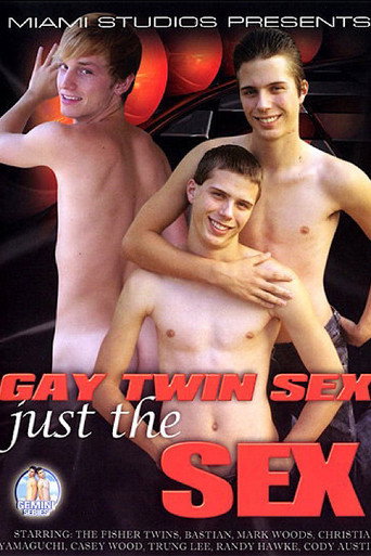 Gay Twin Sex: Just the Sex movie poster