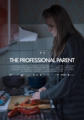 The Professional Parent movie poster