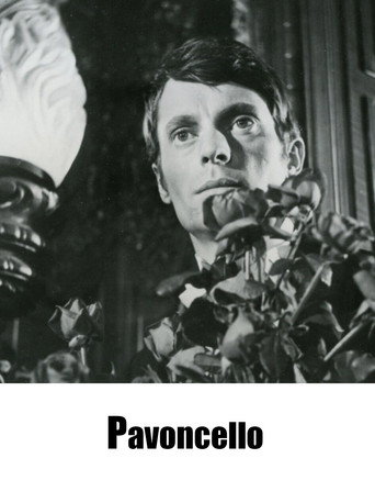 Pavoncello movie poster