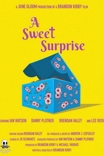 A Sweet Surprise movie poster