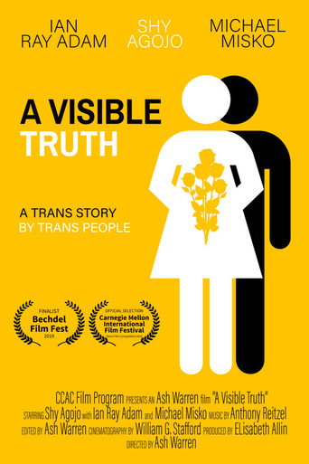 A Visible Truth movie poster