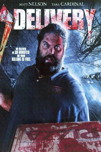 Delivery movie poster