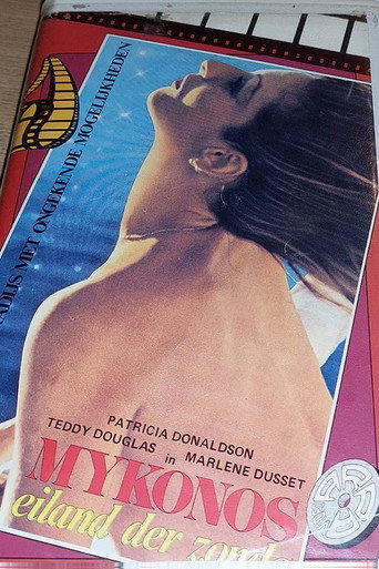 Erotic Nightmare movie poster