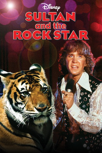 Sultan and the Rock Star movie poster