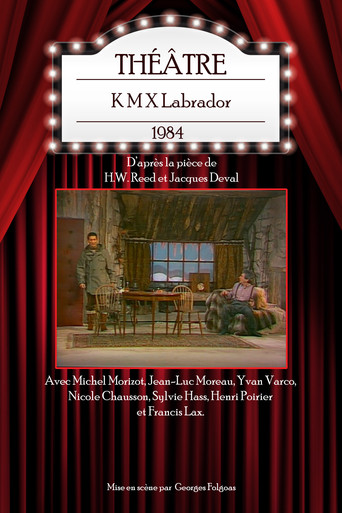 K M X Labrador movie poster