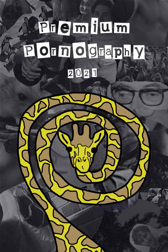 Premium Pornography movie poster