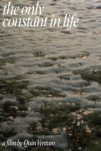 The Only Constant In Life movie poster