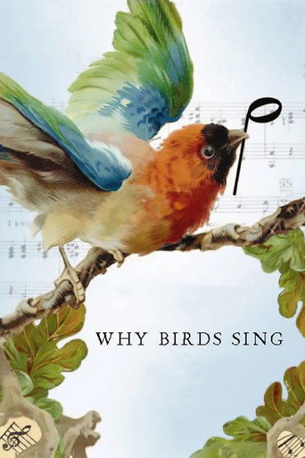 Why Birds Sing movie poster