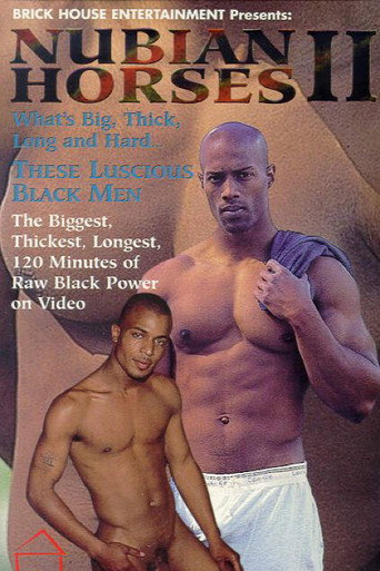 Nubian Horses 2 movie poster
