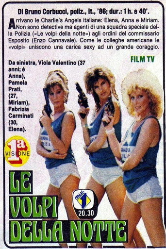 Le volpi della notte movie poster