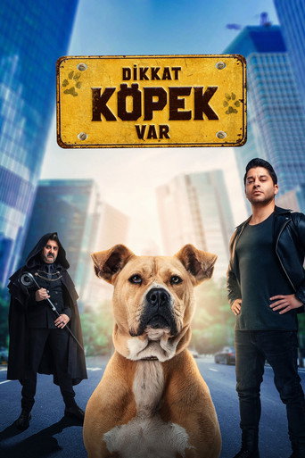 Dikkat Köpek Var movie poster