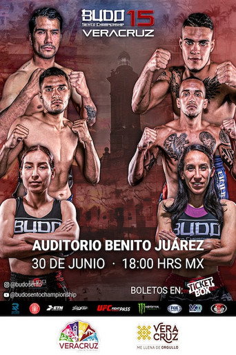 Budo Sento Championship 15 movie poster