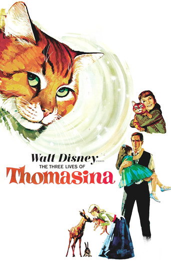 The Three Lives of Thomasina movie poster