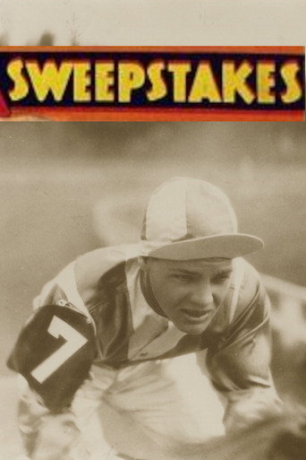 Sweepstakes movie poster