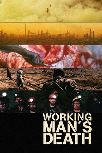 Workingman's Death movie poster