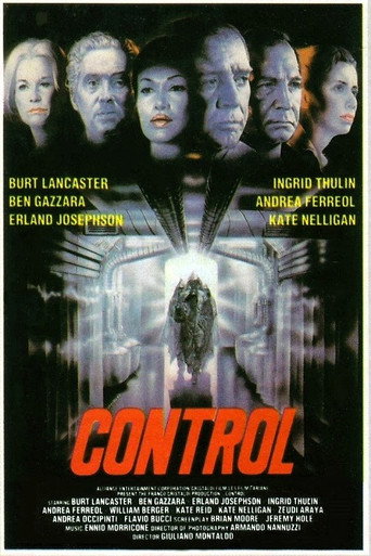 Control movie poster