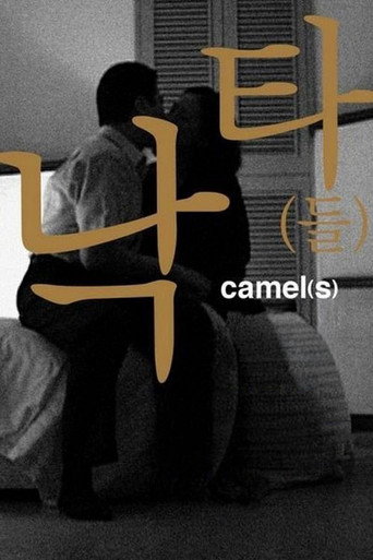 Camel(s) movie poster