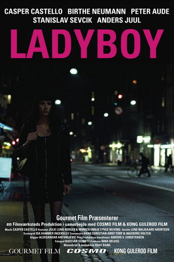 Ladyboy movie poster