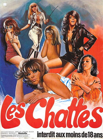 The Sextrovert movie poster