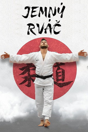 The Gentle Fighter movie poster