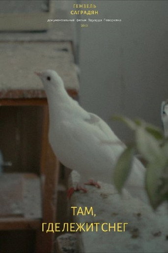 There Where The Snow Lies movie poster