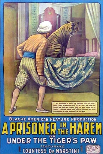 A Prisoner in the Harem movie poster
