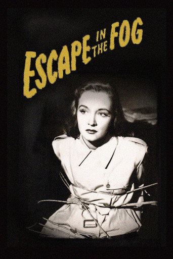 Escape in the Fog movie poster