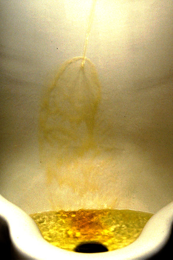 Piss movie poster