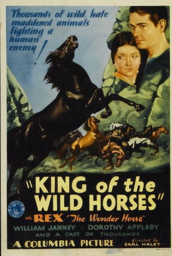 King of the Wild Horses movie poster