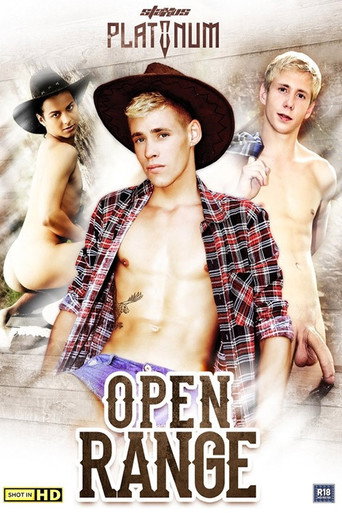 Open Range movie poster