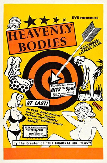 Heavenly Bodies movie poster