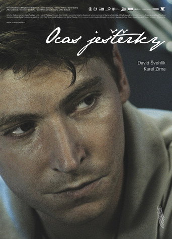 Wingless movie poster