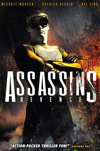 Assassins Revenge movie poster