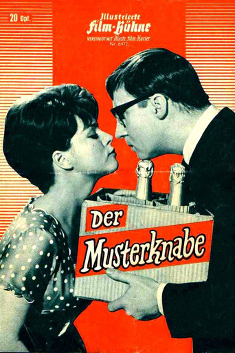 The Model Boy movie poster