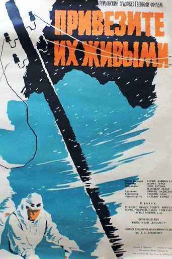 The Avalanche movie poster