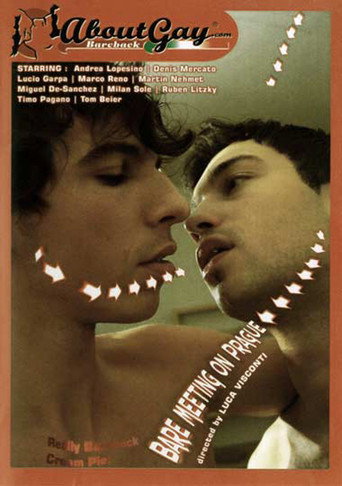 Bare Meeting On Prague movie poster