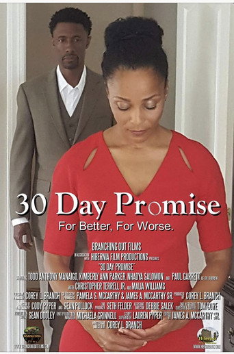 30 Day Promise movie poster