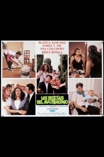 Las delicias del matrimonio movie poster