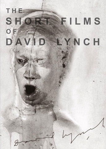 The Short Films of David Lynch movie poster