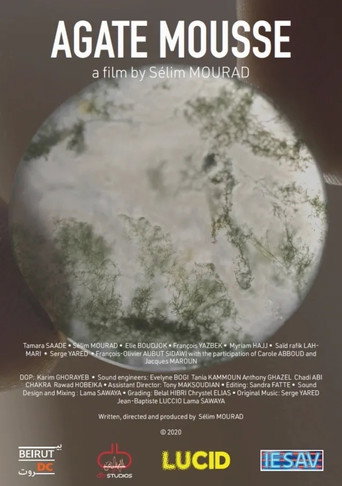 Moss Agate movie poster