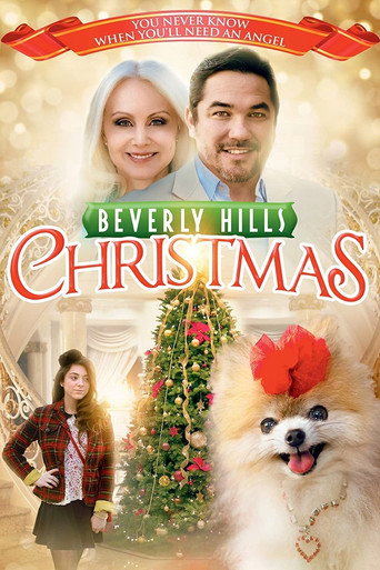 Beverly Hills Christmas movie poster