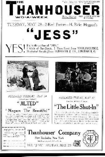 The Little Shut-in movie poster