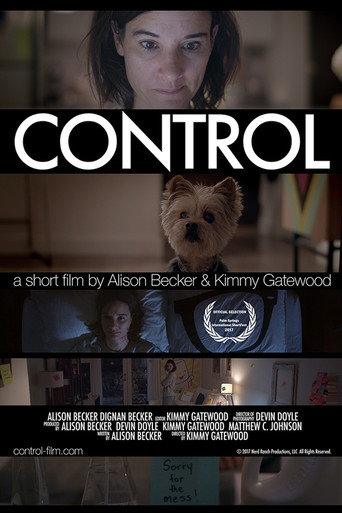 Control movie poster