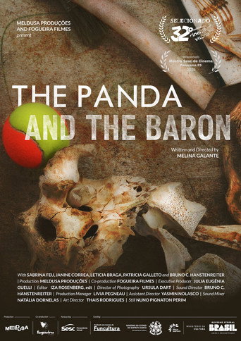 The Panda And The Baron movie poster