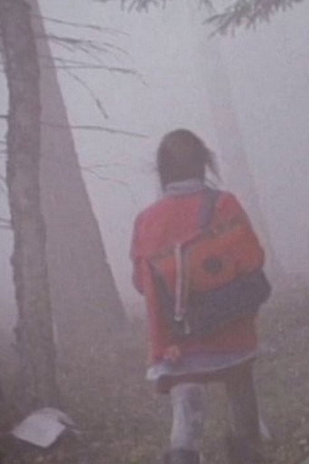 The Girl in the Mist movie poster