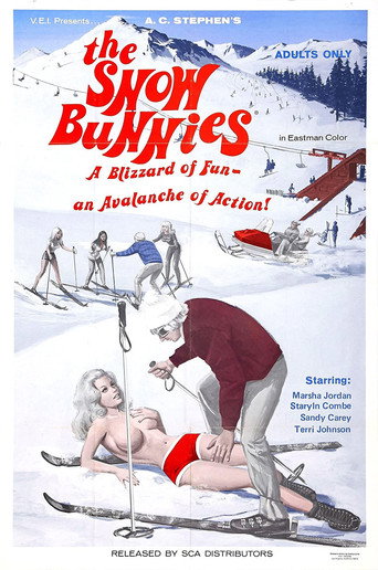 The Snow Bunnies movie poster
