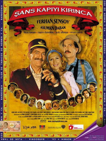 When Luck Breaks the Door movie poster