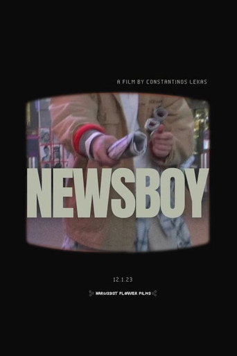 Newsboy movie poster